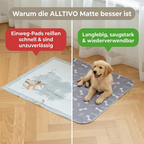 Nie wieder nasse & dreckige Sofas nach dem Spaziergang