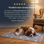 Nie wieder nasse & dreckige Sofas nach dem Spaziergang
